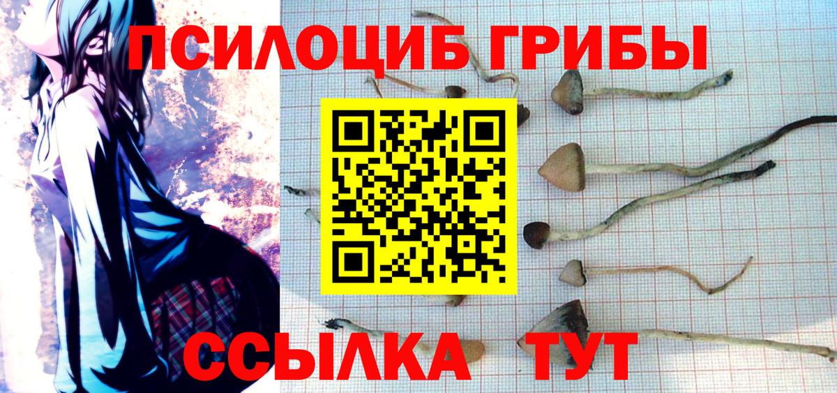 Галлюциногенные грибы Psilocybe  Вход с VPN  Псилоцибиновые грибы Cubensis  Магнитогорск 